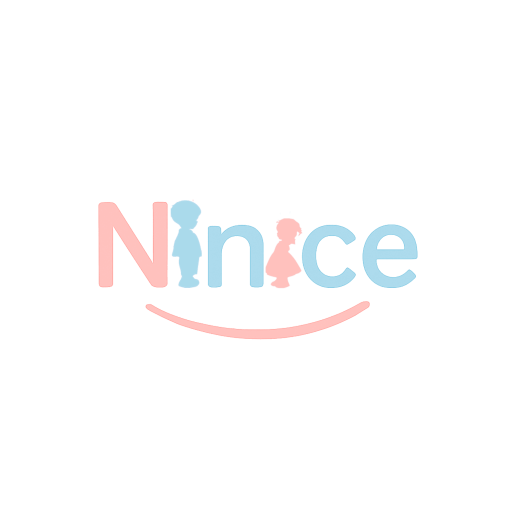 نی نایس استور