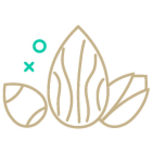 مای آجیل
