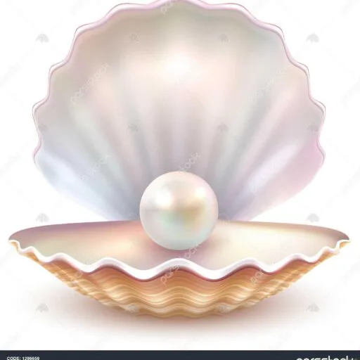 صدف شاپ