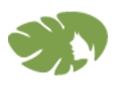 گالری سانته