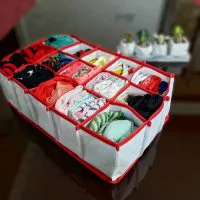 نظم دهنده