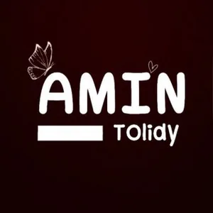 تولیدی امین دات آی آر