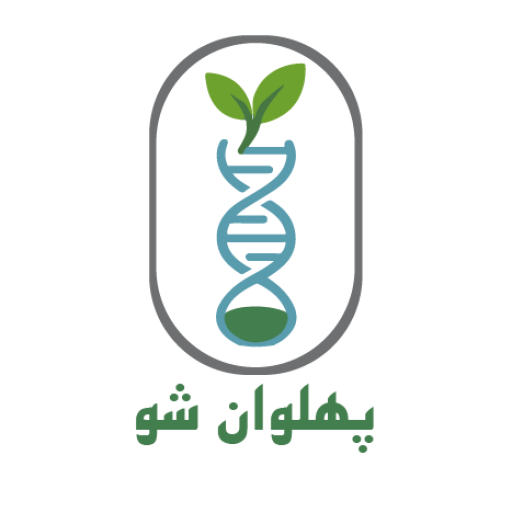پهلوان شو