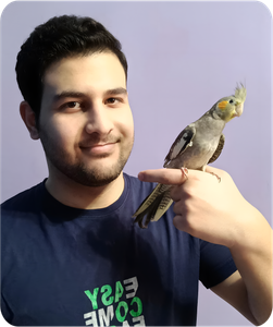 پاروت شمال