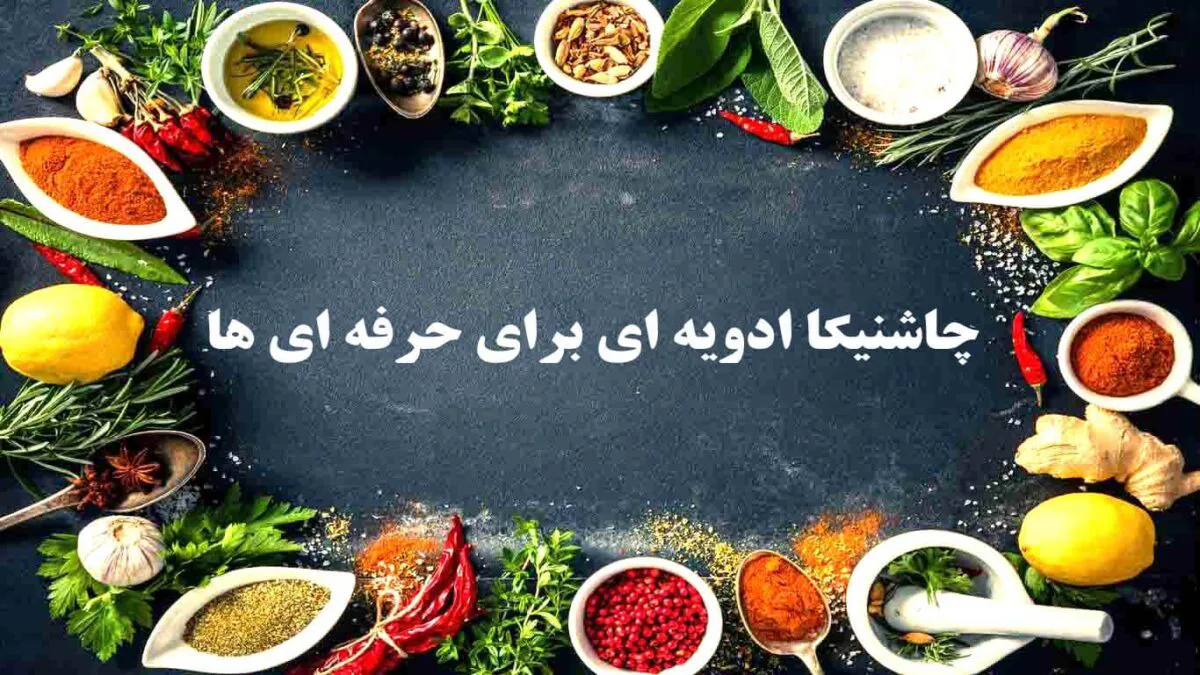 چاشنیکا