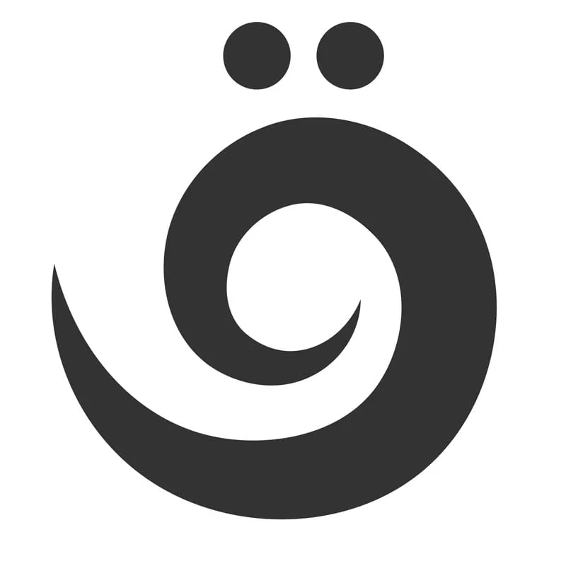 قشم ریسه