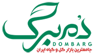 دمبرگ