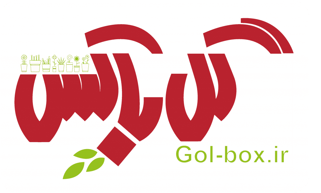 گل باکس
