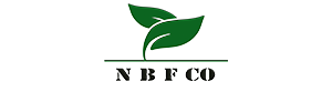 ان بی اف کو