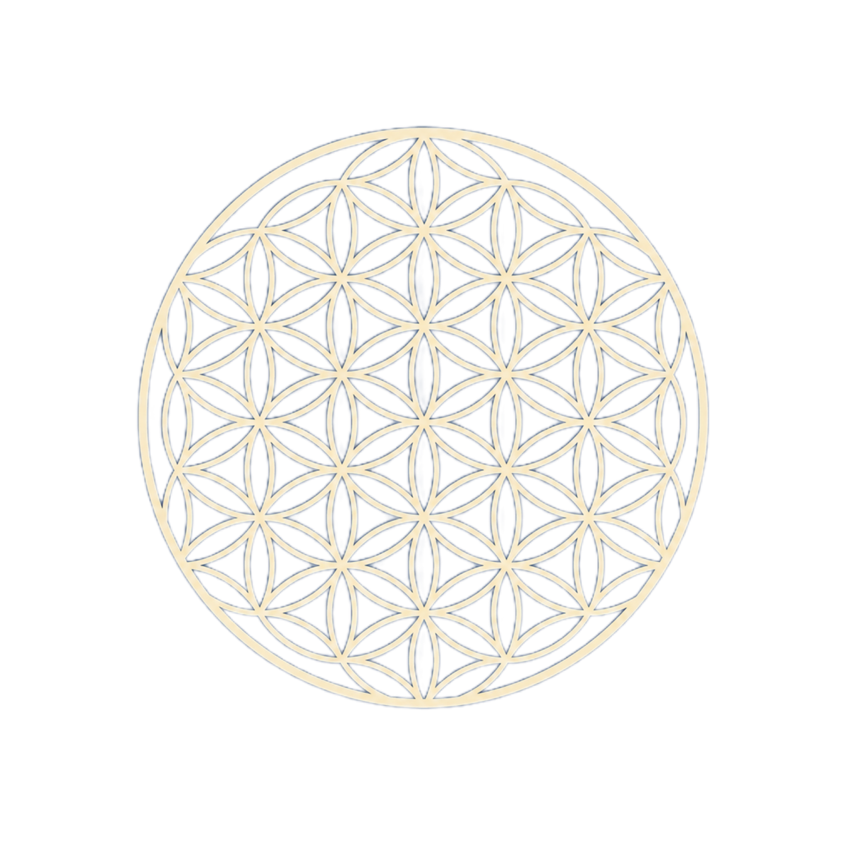 گل زندگی