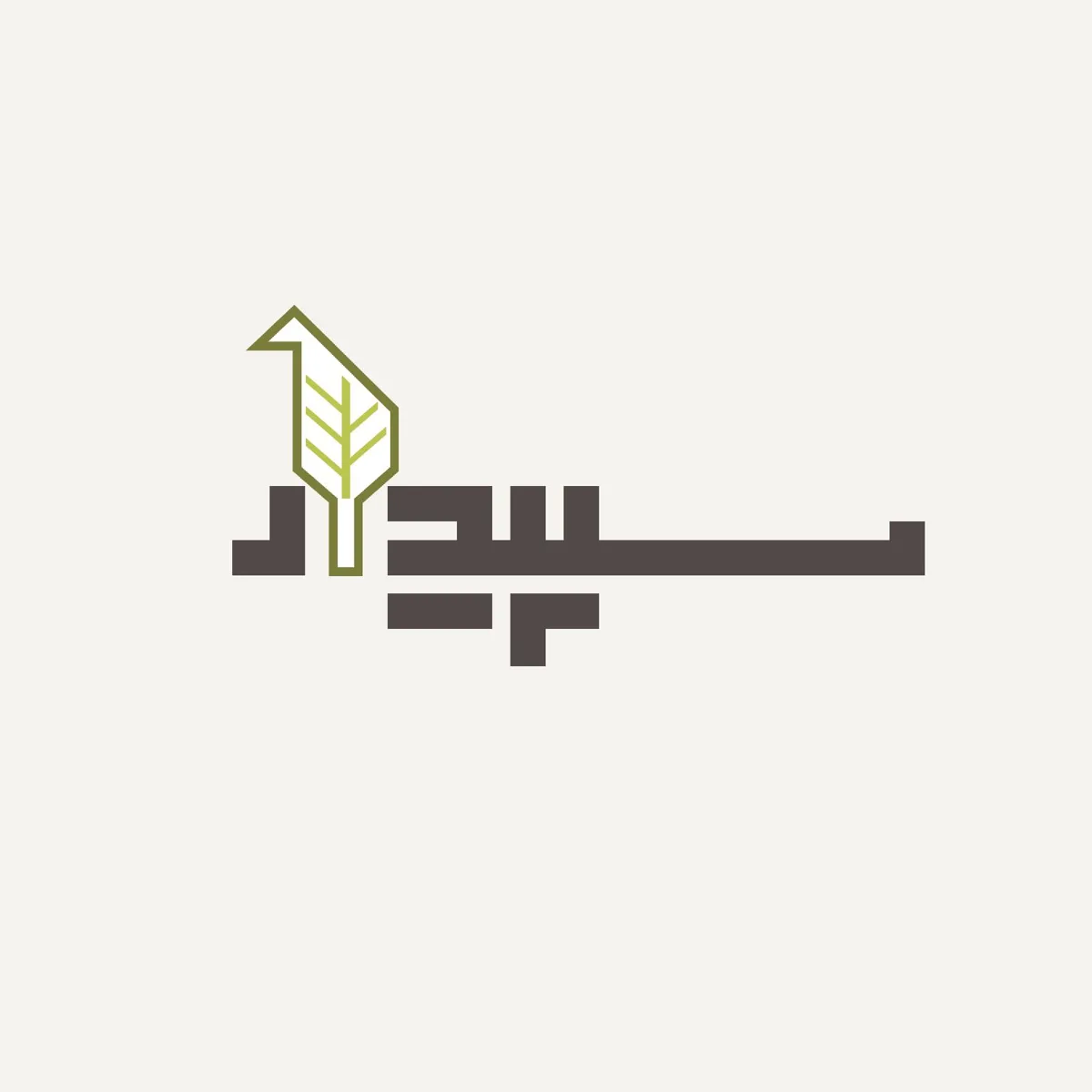 سپیدار کالکشن