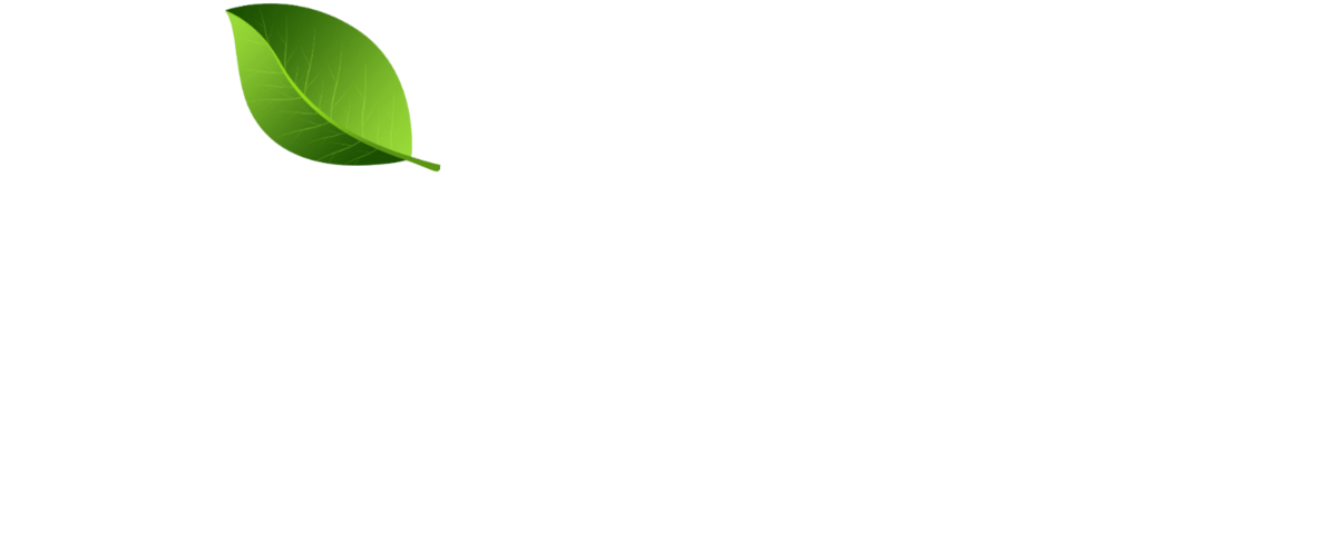 سیچه