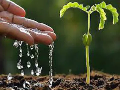 سپاهان قطره استور