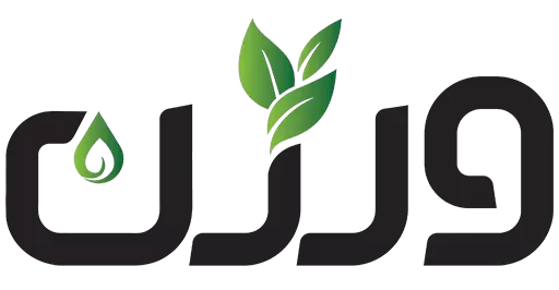 روغن ورژن