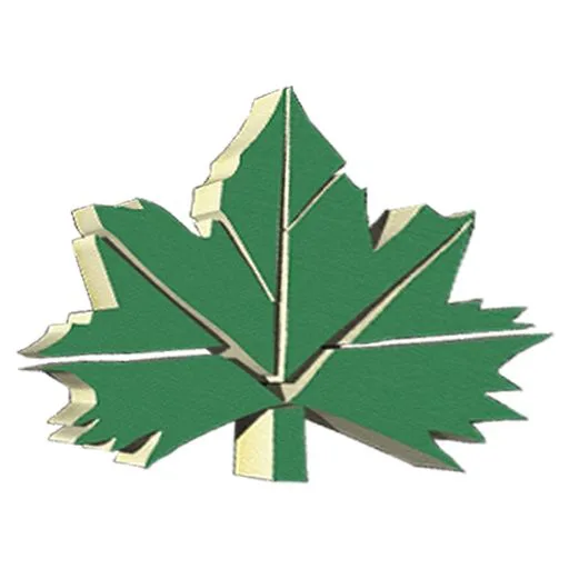 چنار کالا