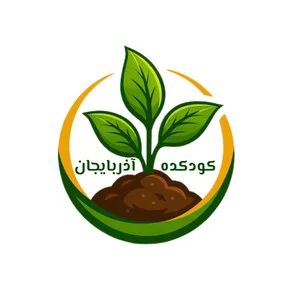 کودکده