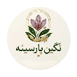 نگین پارسینه