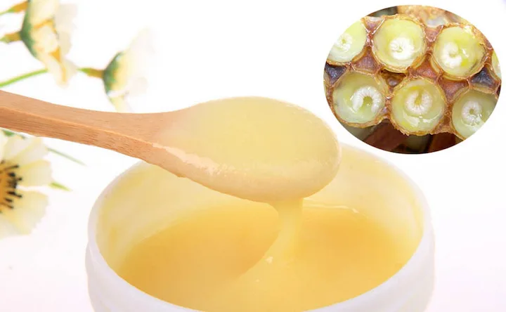 هدی بال